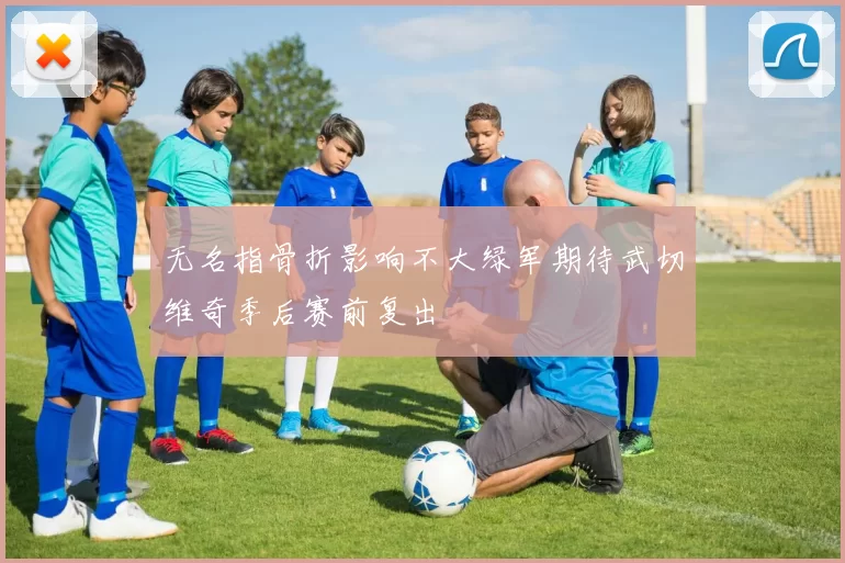 无名指骨折影响不大绿军期待武切维奇季后赛前复出